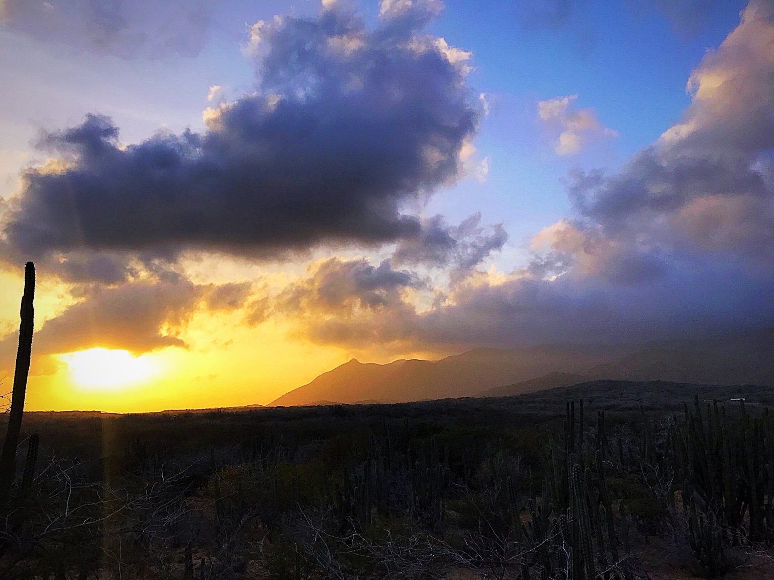 Atardecer entre cardones y montañas en Ichipá